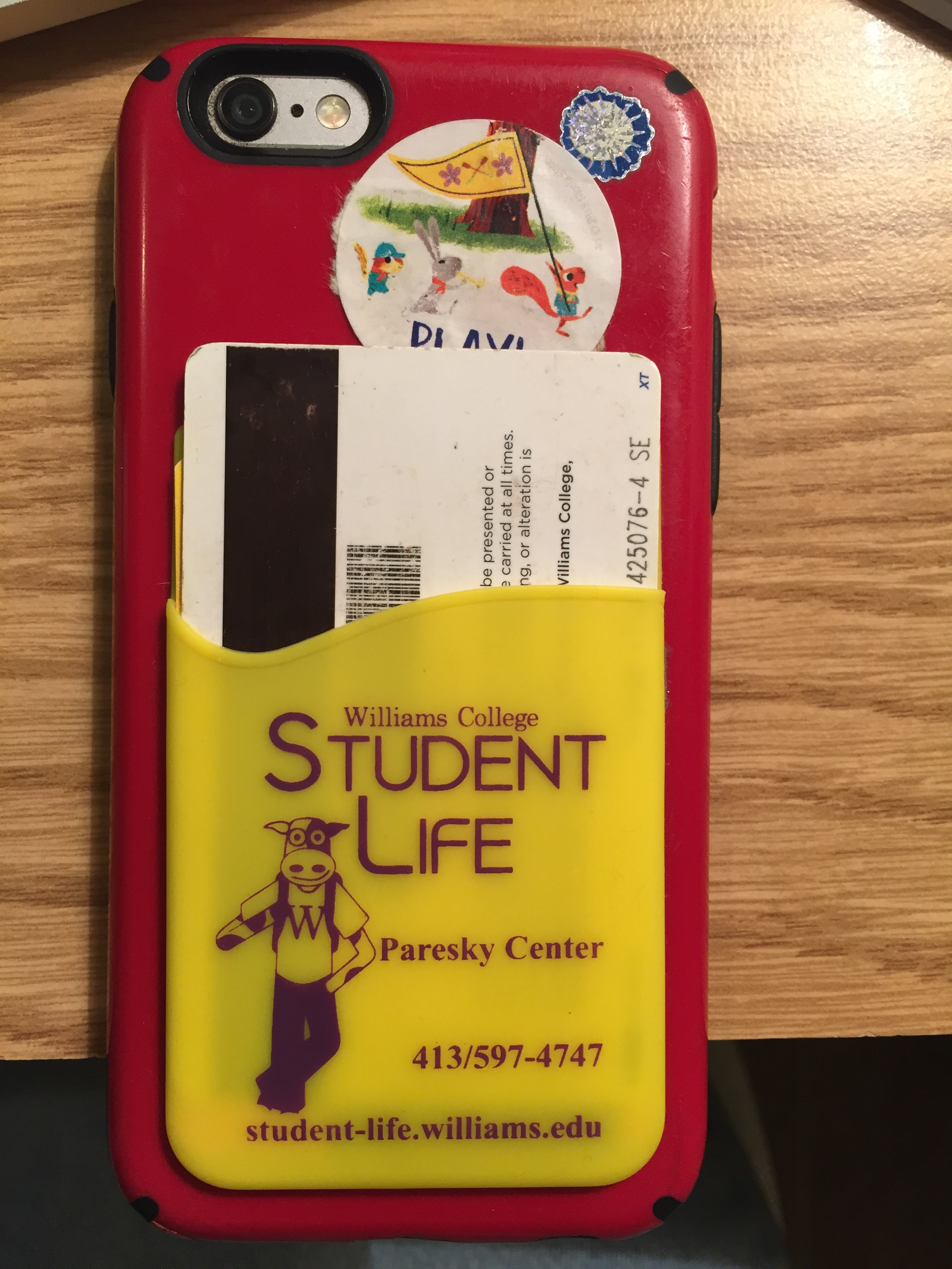 Phone Sleeve